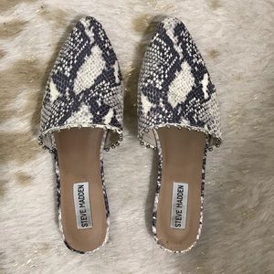 Steve Madden snakeskin slip ons